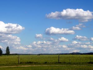 farm-sky-1564390
